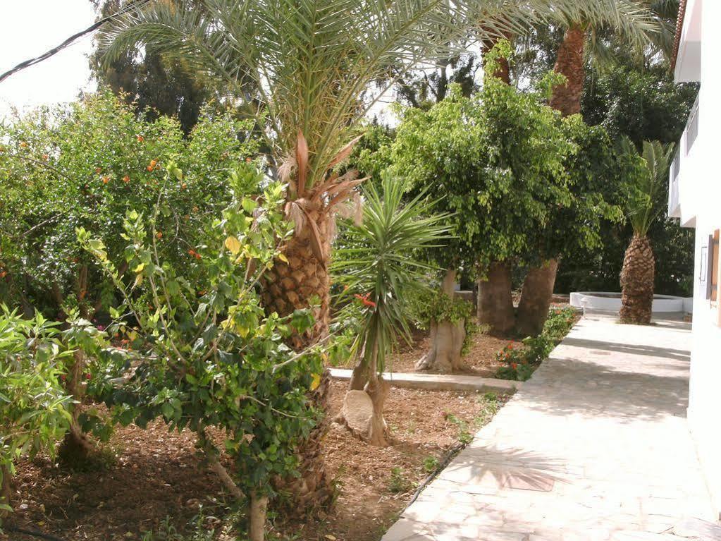 Ifigenia Apartments Hersonissos  Esterno foto